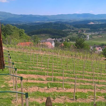 Vineyard Cottage Lustek Novo Mesto Zewnętrze zdjęcie
