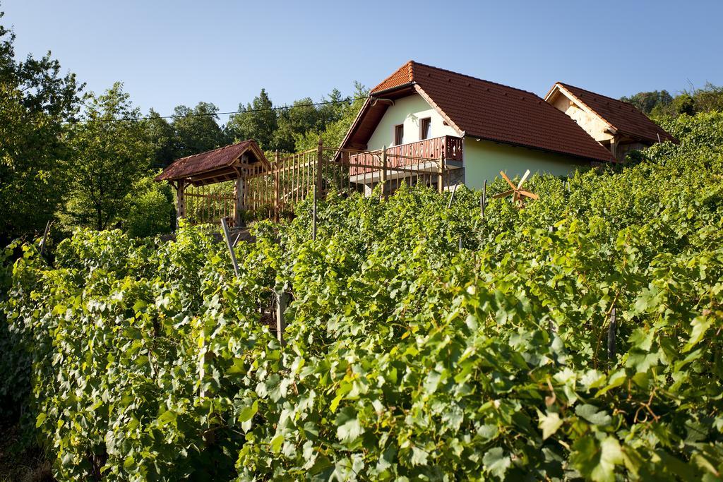 Vineyard Cottage Lustek Novo Mesto Zewnętrze zdjęcie