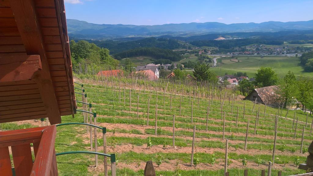 Vineyard Cottage Lustek Novo Mesto Zewnętrze zdjęcie